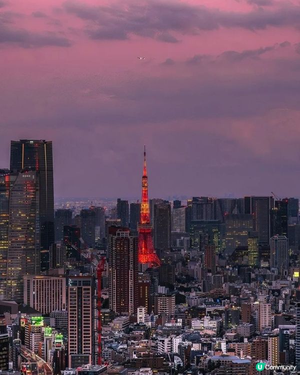 🇯🇵玩轉東京涉谷超詳盡攻略 🗼✨