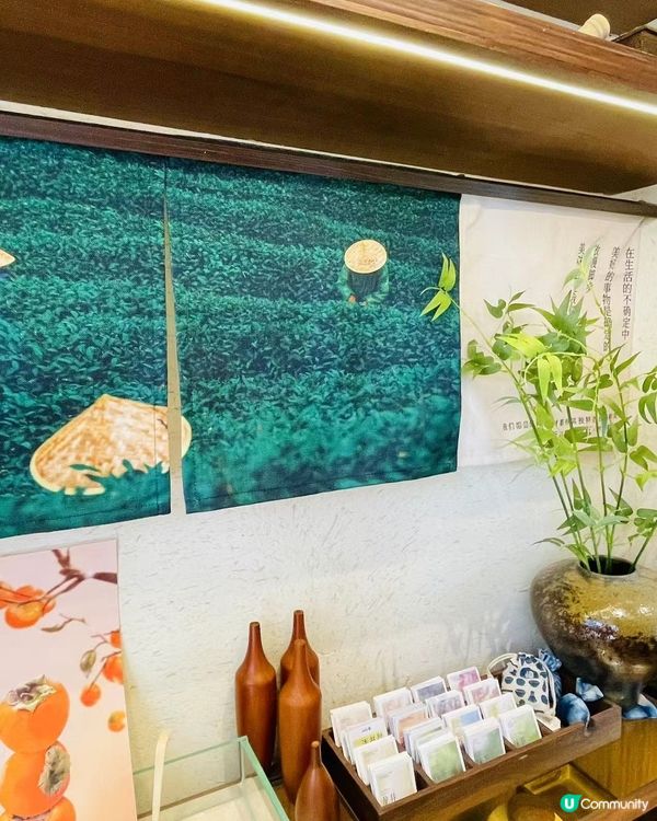 慢頓頓我會諗起樹懶……