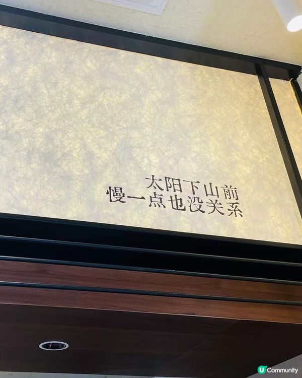 慢頓頓我會諗起樹懶……