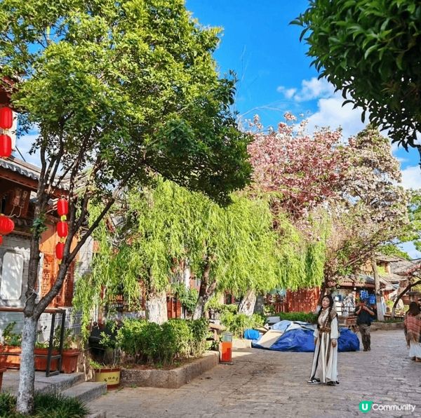 雲南麗江古城內有古色古香的風景, 我認為係打卡靚相.