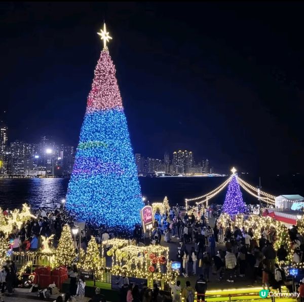 Experience the magical Christm...