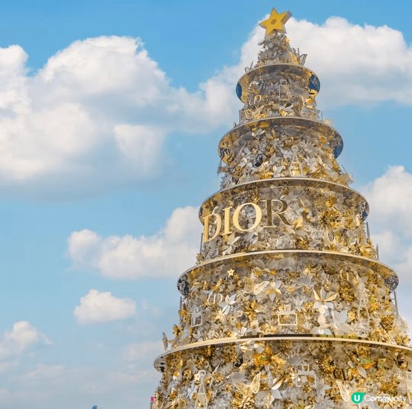 Experience the magical Christm...