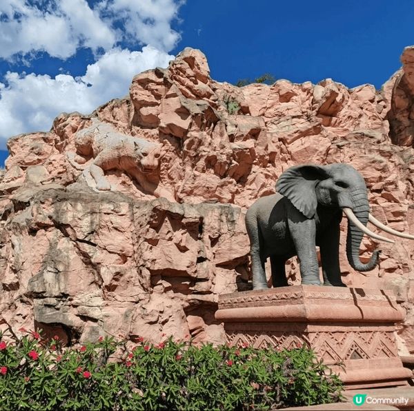 南非太陽城. 超級大超級靚, 係一個非常好嘅渡假地方. 如果...