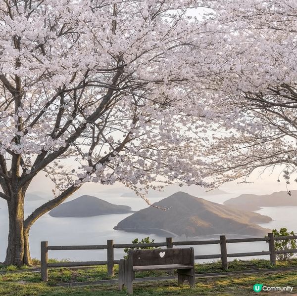 日本香川係呆呆獸嘅天堂。呆呆獸有屬於自己嘅主題公園，出沒數量...