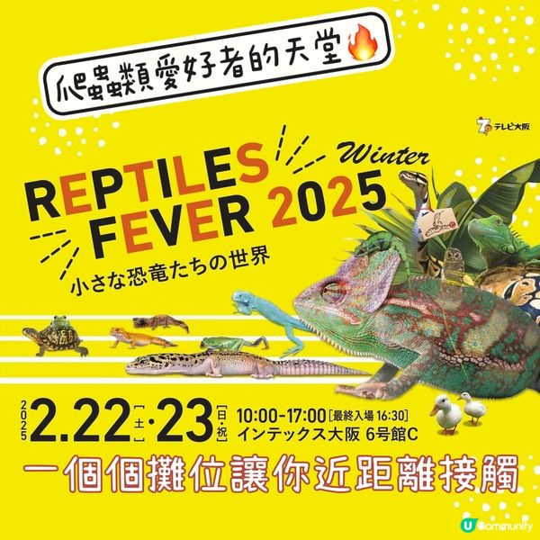 【慎入😝】爬蟲類愛好者既天堂👼🏻膽小者既地獄☠️