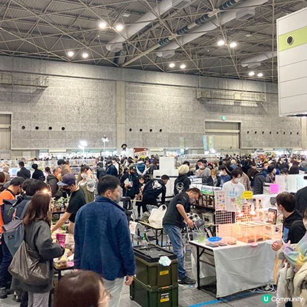 【慎入😝】爬蟲類愛好者既天堂👼🏻膽小者既地獄☠️