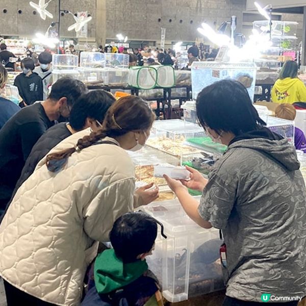 【慎入😝】爬蟲類愛好者既天堂👼🏻膽小者既地獄☠️