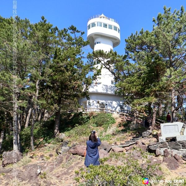 東伊豆「城崎海岸」 飽覽太平洋海岸線 +櫻花 +日本自然景觀