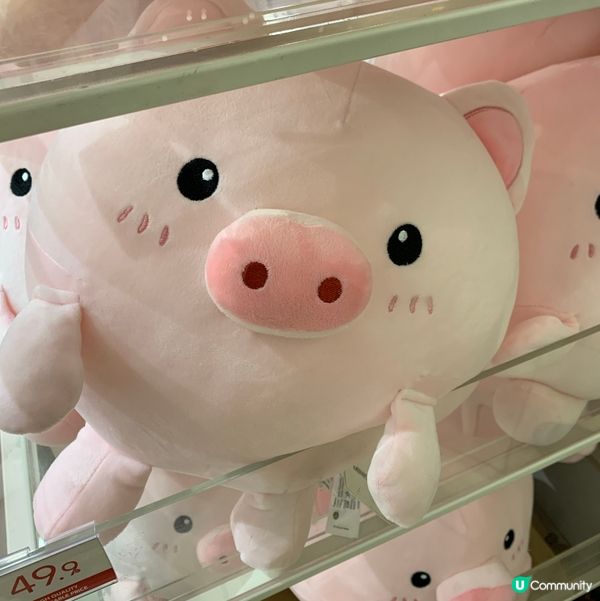 🐷仔被困