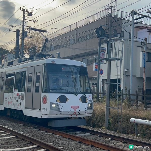 貓奴必去招財貓寺 — 豪德寺