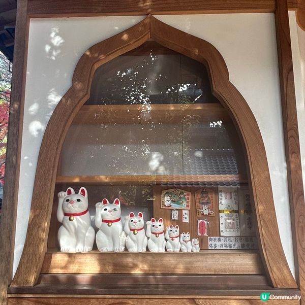 貓奴必去招財貓寺 — 豪德寺