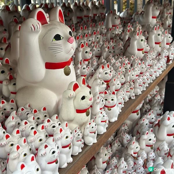 貓奴必去招財貓寺 — 豪德寺