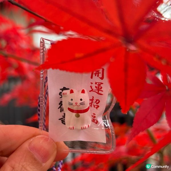 貓奴必去招財貓寺 — 豪德寺