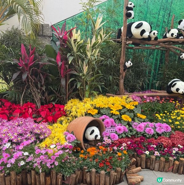 一年一度嘅｢北區花鳥蟲魚展覽2024｣又再來了｡