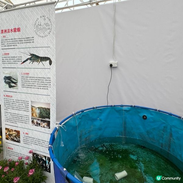 一年一度嘅｢北區花鳥蟲魚展覽2024｣又再來了｡