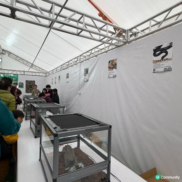 一年一度嘅｢北區花鳥蟲魚展覽2024｣又再來了｡