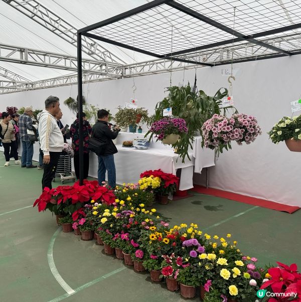 一年一度嘅｢北區花鳥蟲魚展覽2024｣又再來了｡