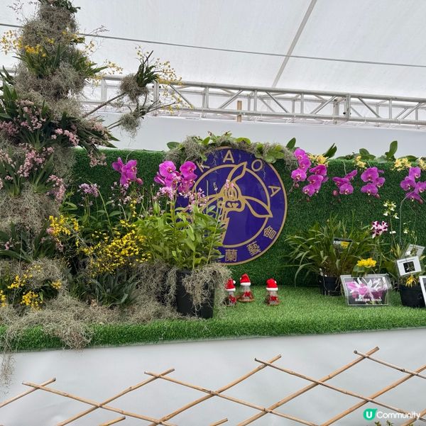 一年一度嘅｢北區花鳥蟲魚展覽2024｣又再來了｡