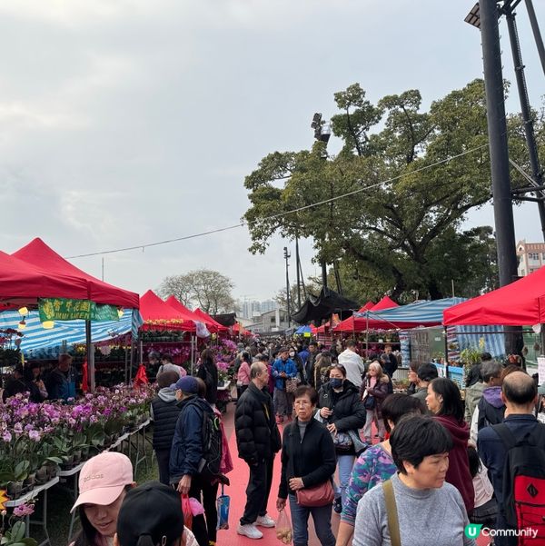 一年一度嘅｢北區花鳥蟲魚展覽2024｣又再來了｡