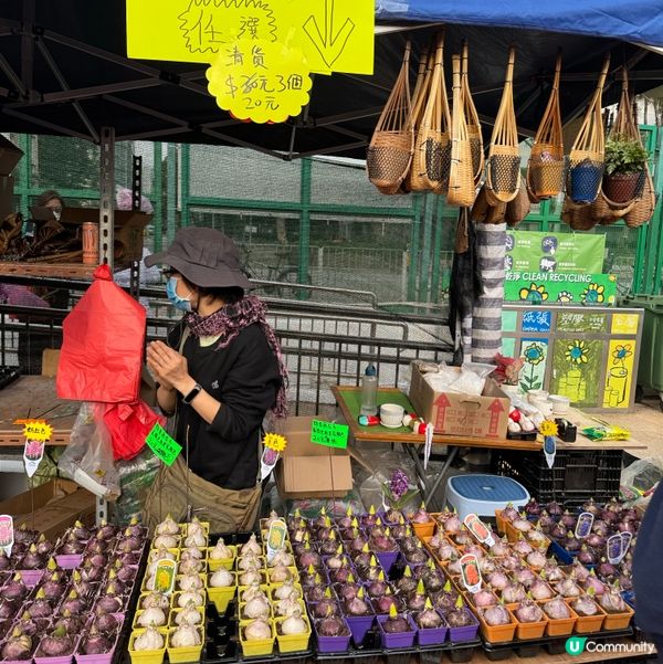 一年一度嘅｢北區花鳥蟲魚展覽2024｣又再來了｡