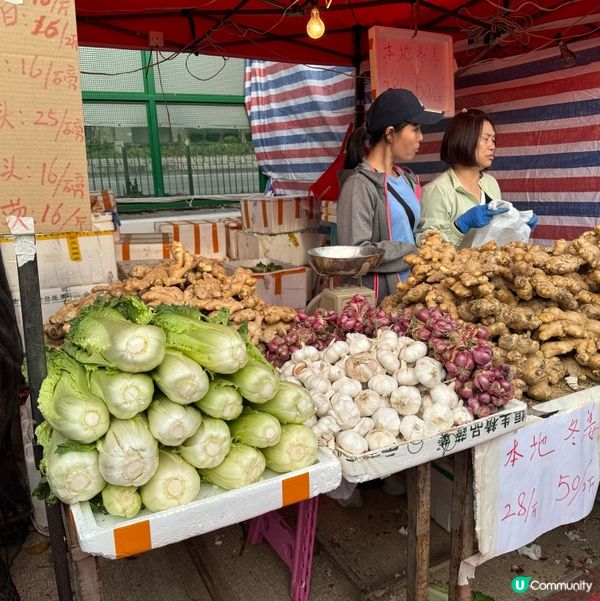 一年一度嘅｢北區花鳥蟲魚展覽2024｣又再來了｡