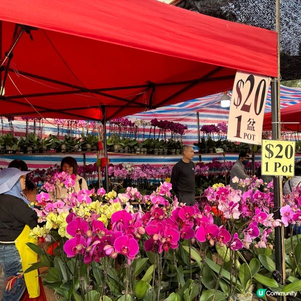 一年一度嘅｢北區花鳥蟲魚展覽2024｣又再來了｡