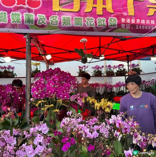 一年一度嘅｢北區花鳥蟲魚展覽2024｣又再來了｡