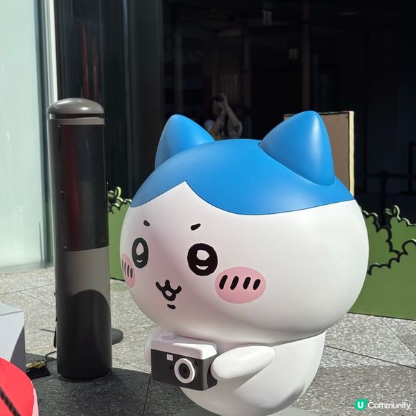 CHIIKAWA DAYS 打卡必去✨😆