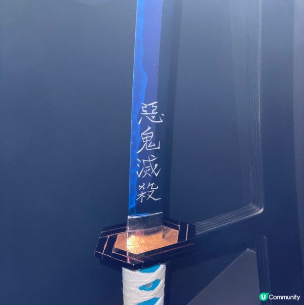 乘坐無限列車🚋 被炎柱大哥保護了🔥