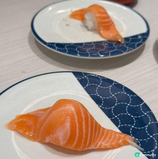 日本過江龍Hama Sushi🤤！帆立貝超正！三文魚都掂！🍣