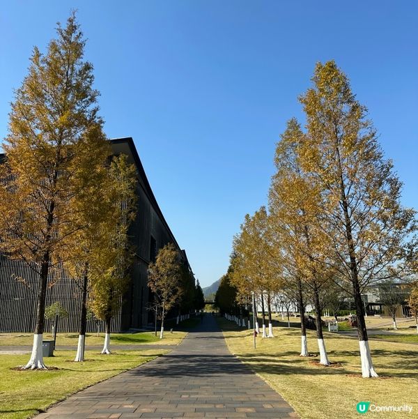 桂林十如園林🌿！藍染+Cocktail🍹親子遊！