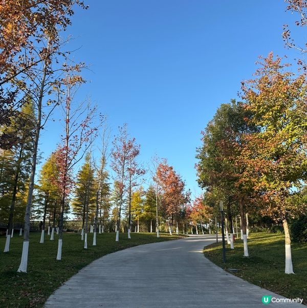 桂林十如園林🌿！藍染+Cocktail🍹親子遊！