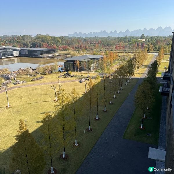 桂林十如園林🌿！藍染+Cocktail🍹親子遊！