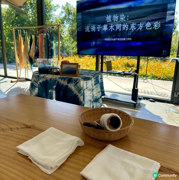 桂林十如園林🌿！藍染+Cocktail🍹親子遊！