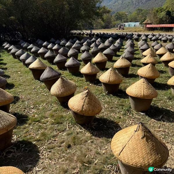 親子遊必去👍 桂林和記農莊好好玩🤩！