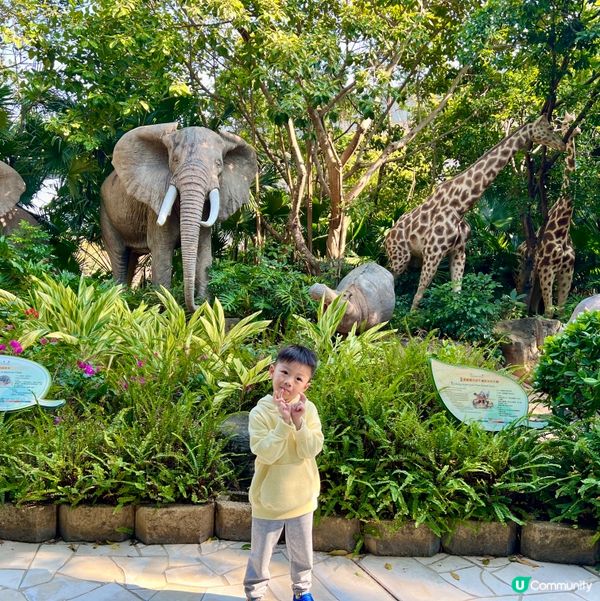 遊方舟！聖誕親子遊玩攻略 🥳 探索世界奇觀！