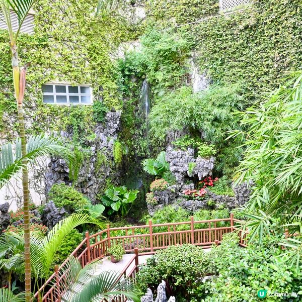 淺水灣酒店變影灣園 📸✨