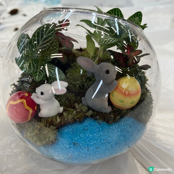 DIY 復活節微觀盆景