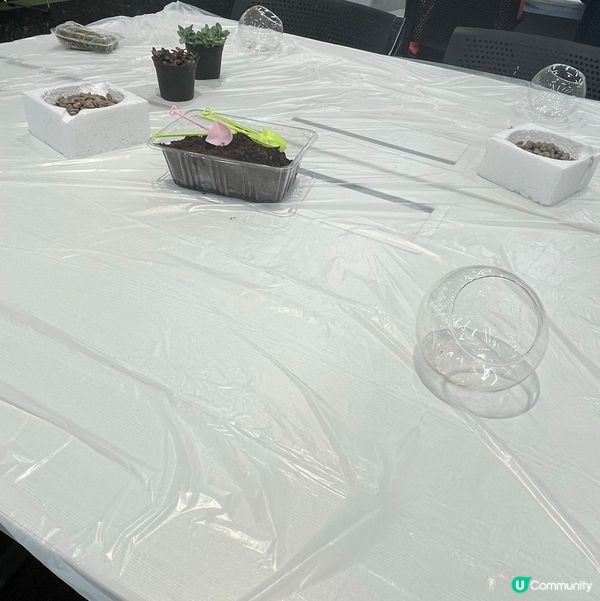 DIY 復活節微觀盆景