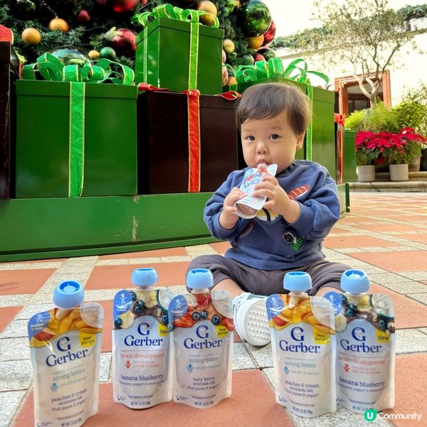 食到舔舔脷GERBER®️嘉寶果蓉Yogurt Pouch