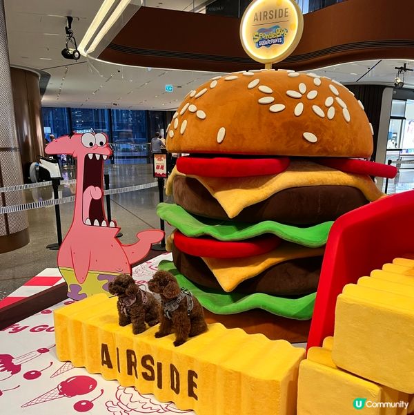 海綿寶寶🧀比奇堡滋味派對！🏖️👶🍔