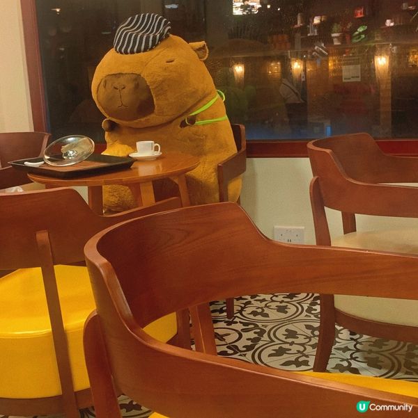 尖沙嘴｜木系文青韓式cafe🪵