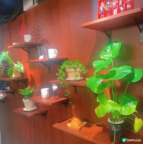 尖沙嘴｜木系文青韓式cafe🪵