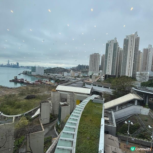 嘆住茶望靚景🥂🥢