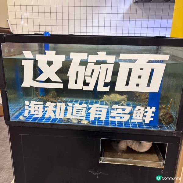 中國/珠海新鮮即撈海鮮麵🍜,料足湯濃😋