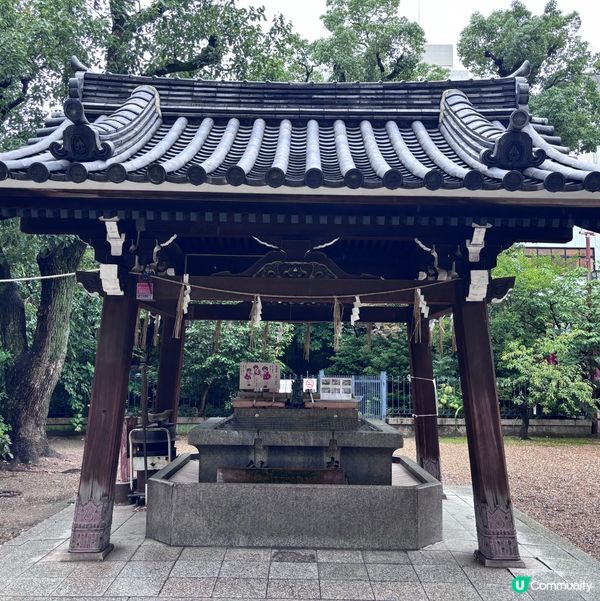 日本/大阪難波神社400年樟樹見證歷史🌳