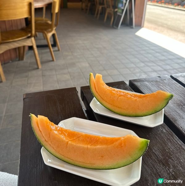 北海道夏日限定：富良野薰衣草💜哈密瓜🍈