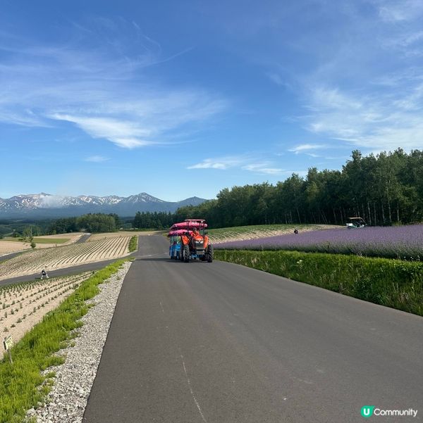 親子旅行夏日必去：北海道四季彩之丘💜