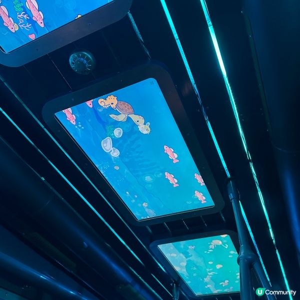 暑假限定！海洋公園 x Sanrio蔚藍海洋之旅