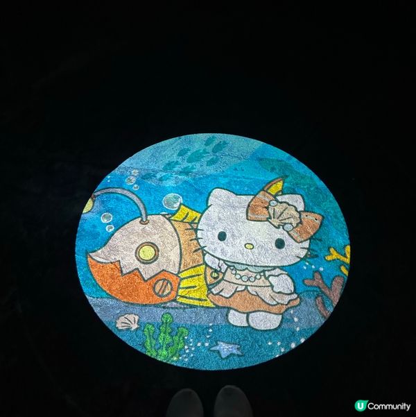 暑假限定！海洋公園 x Sanrio蔚藍海洋之旅